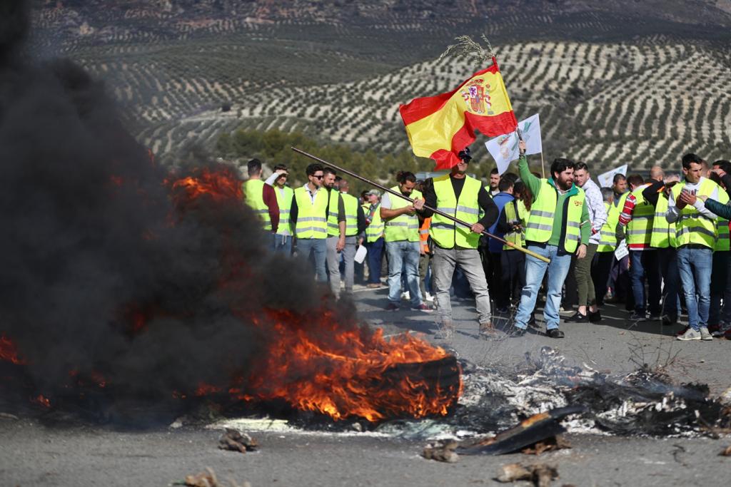 Miles de trabajadores del sector del olivar se han manifestado en toda la provincia de Jaén