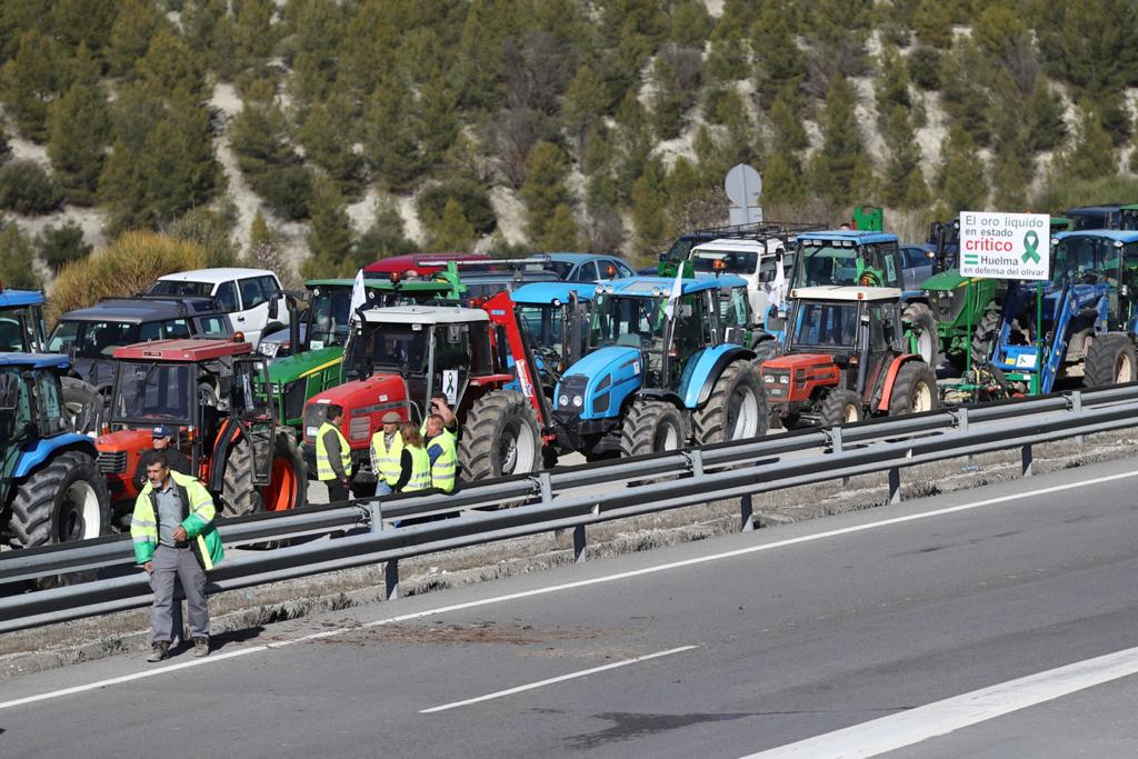 Miles de trabajadores del sector del olivar se han manifestado en toda la provincia de Jaén