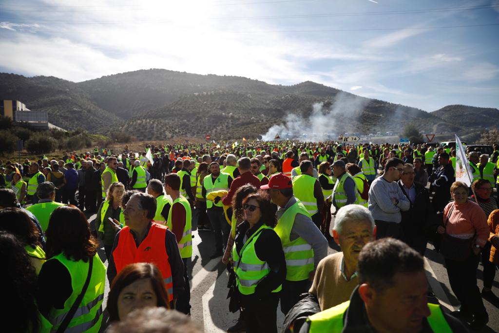 Miles de trabajadores del sector del olivar se han manifestado en toda la provincia de Jaén