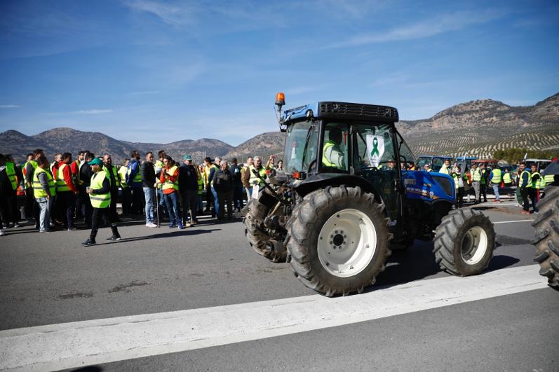 Miles de trabajadores del sector del olivar se han manifestado en toda la provincia de Jaén