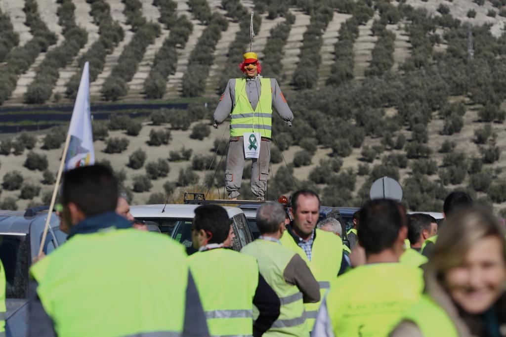 Miles de trabajadores del sector del olivar se han manifestado en toda la provincia de Jaén