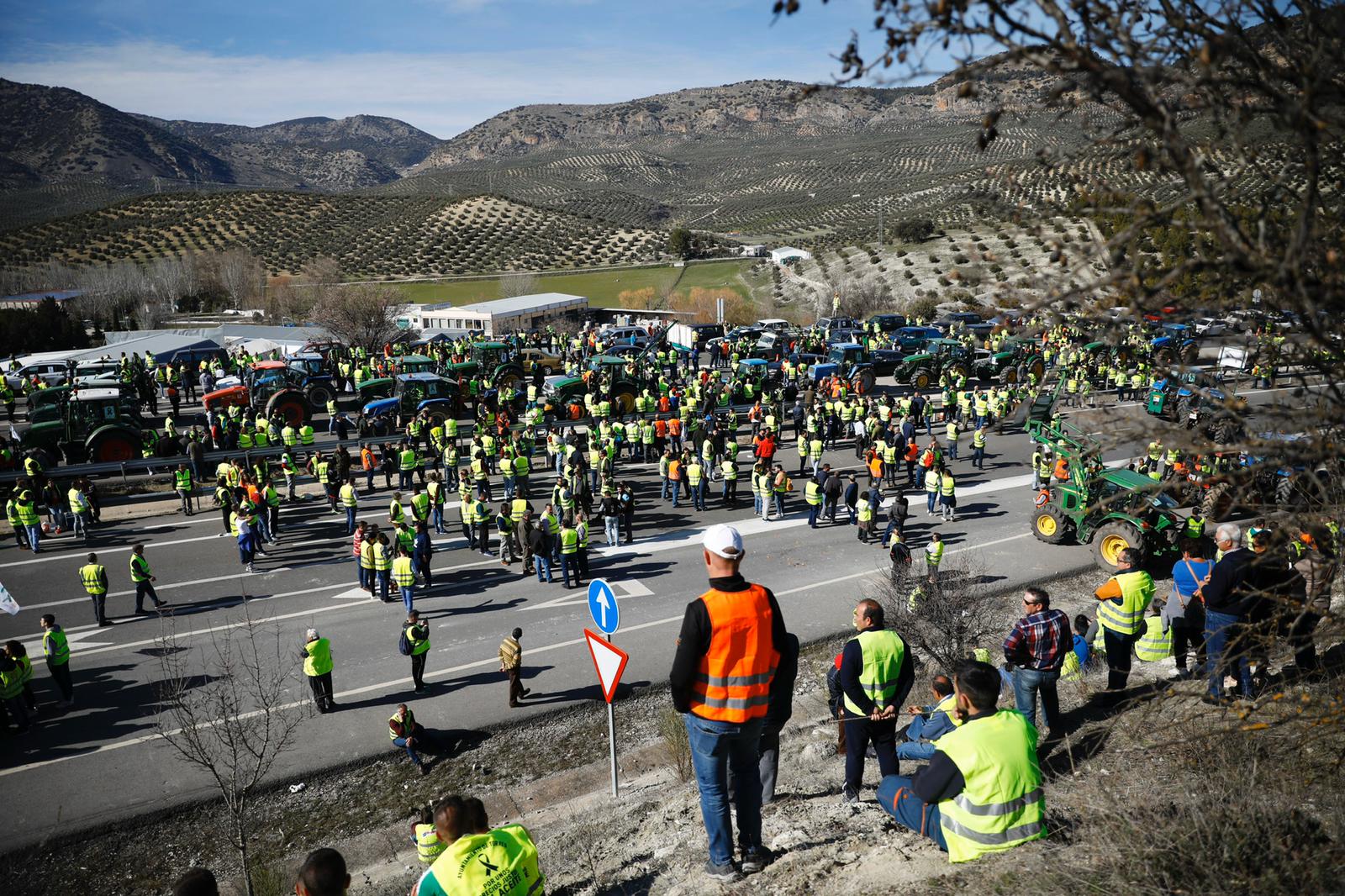 Miles de trabajadores del sector del olivar se han manifestado en toda la provincia de Jaén