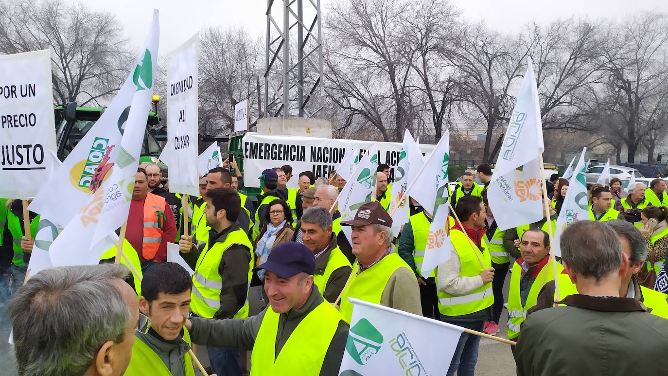 Miles de trabajadores del sector del olivar se han manifestado en toda la provincia de Jaén