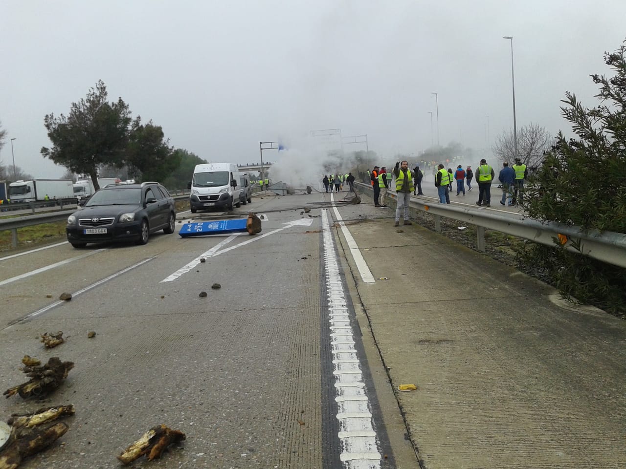Miles de trabajadores del sector del olivar se han manifestado en toda la provincia de Jaén