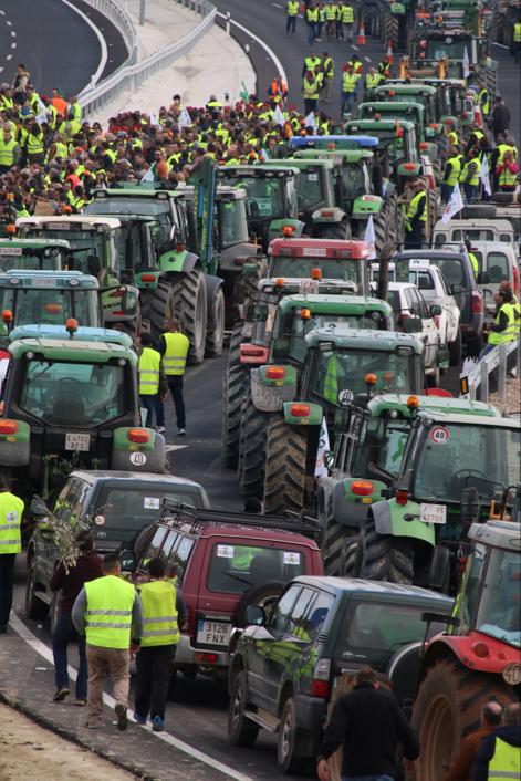 Miles de trabajadores del sector del olivar se han manifestado en toda la provincia de Jaén