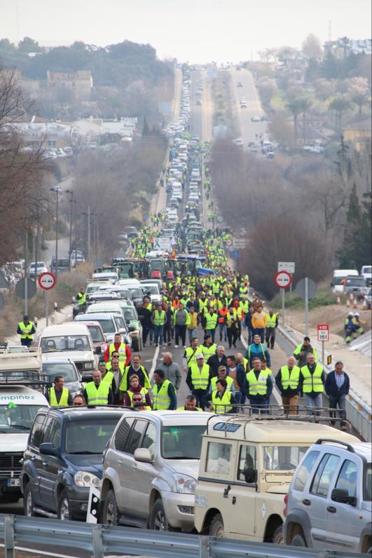 Miles de trabajadores del sector del olivar se han manifestado en toda la provincia de Jaén