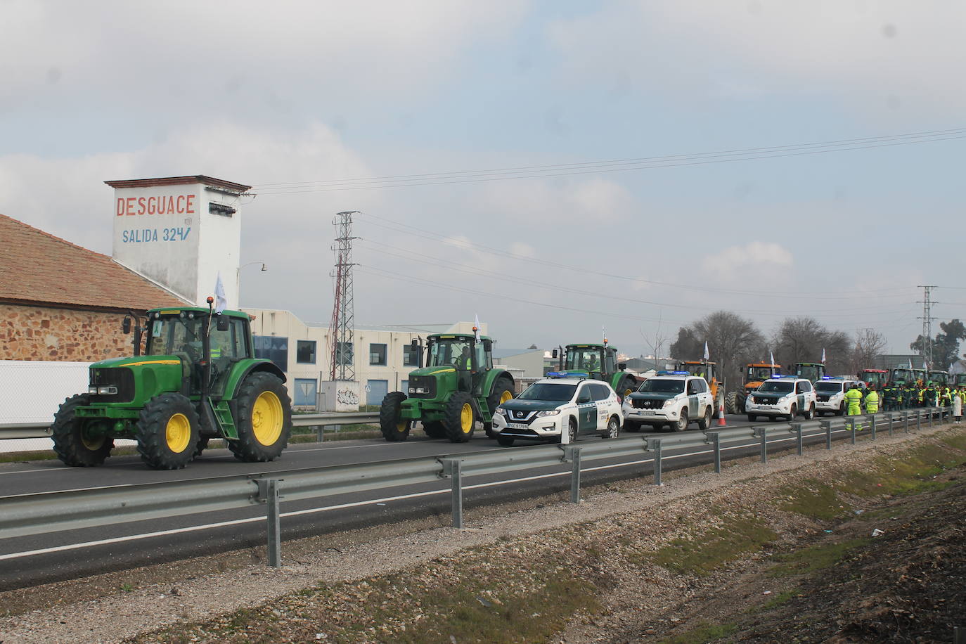 Miles de trabajadores del sector del olivar se han manifestado en toda la provincia de Jaén