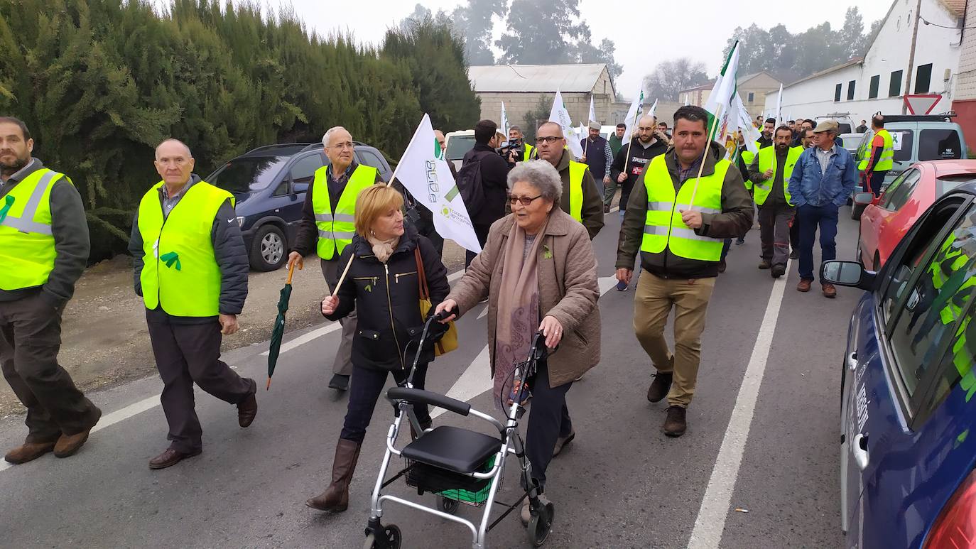 Miles de trabajadores del sector del olivar se han manifestado en toda la provincia de Jaén