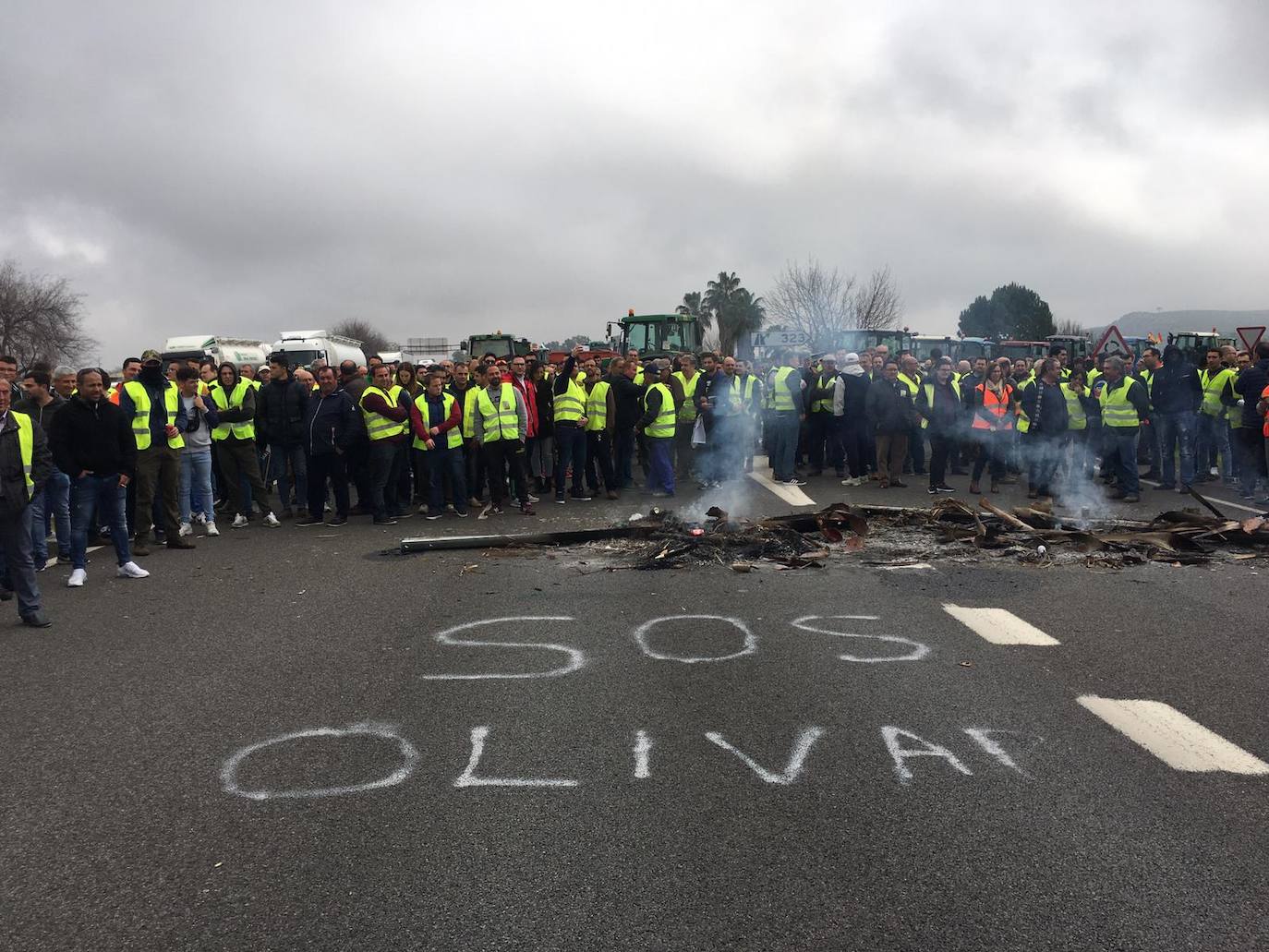 Miles de trabajadores del sector del olivar se han manifestado en toda la provincia de Jaén
