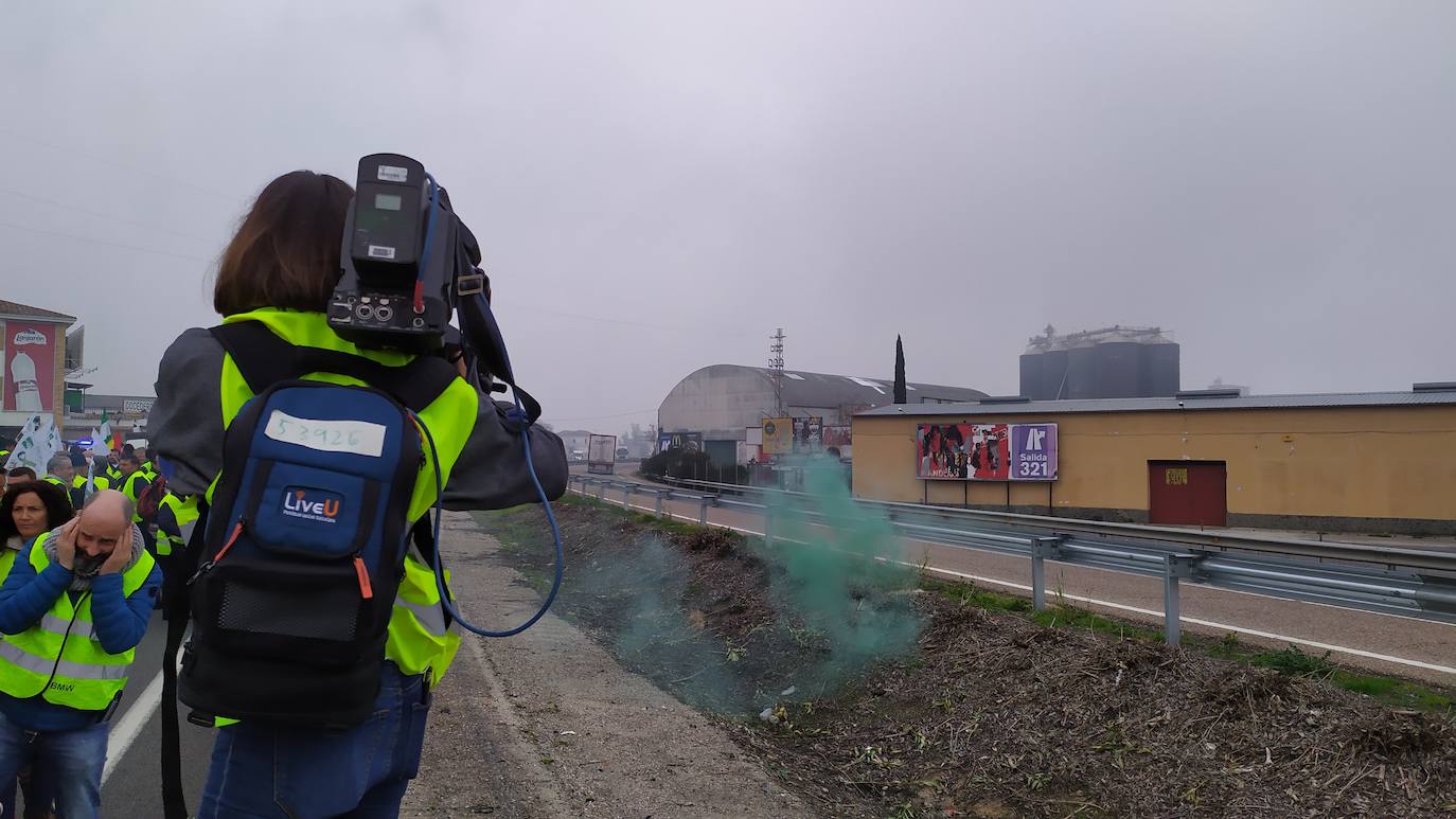 Miles de trabajadores del sector del olivar se han manifestado en toda la provincia de Jaén