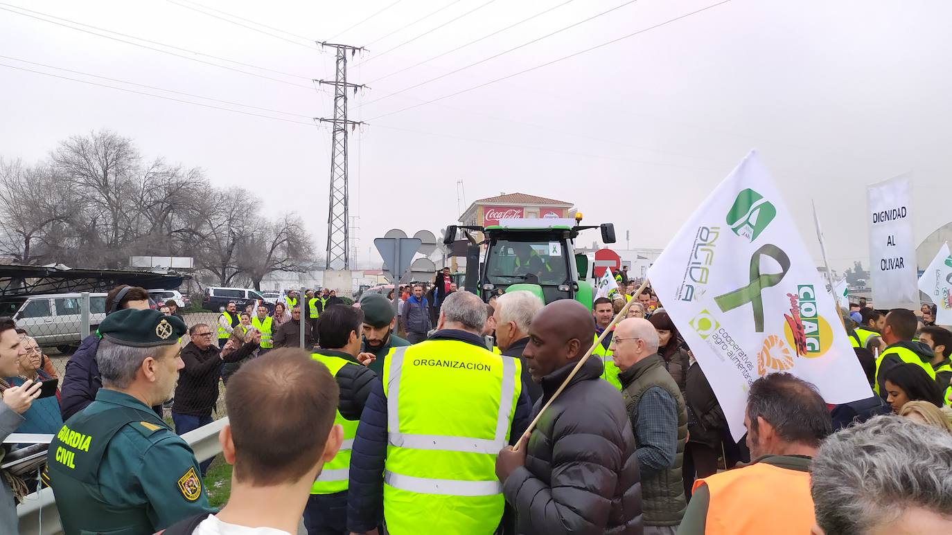 Miles de trabajadores del sector del olivar se han manifestado en toda la provincia de Jaén