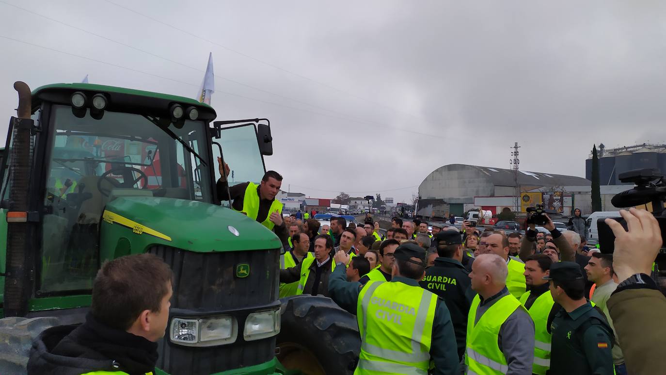 Miles de trabajadores del sector del olivar se han manifestado en toda la provincia de Jaén