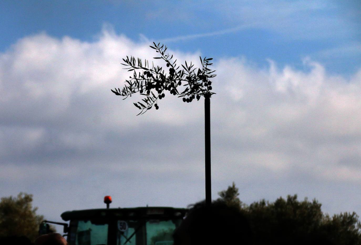 Miles de trabajadores del sector del olivar se han manifestado en toda la provincia de Jaén