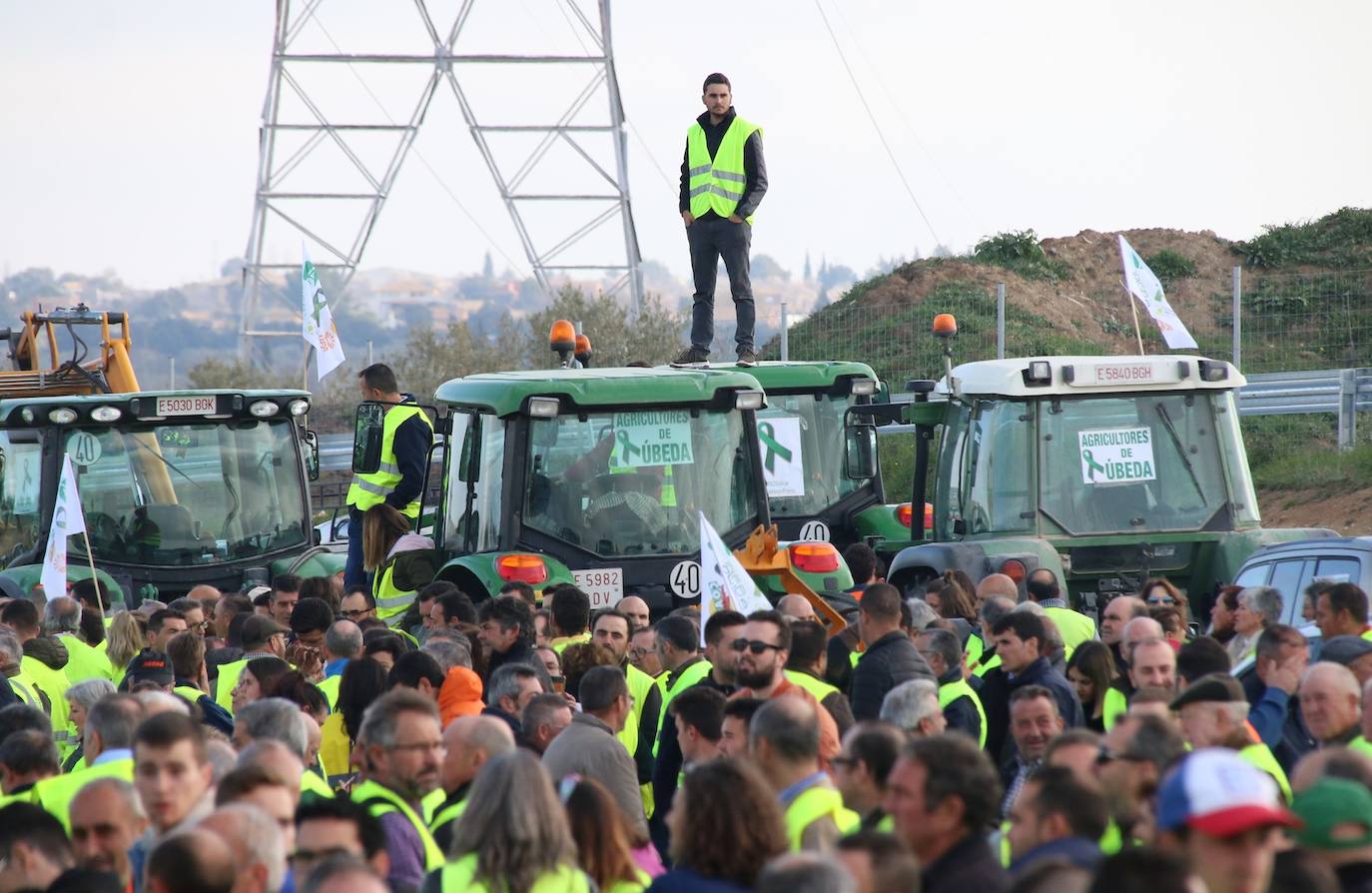Miles de trabajadores del sector del olivar se han manifestado en toda la provincia de Jaén
