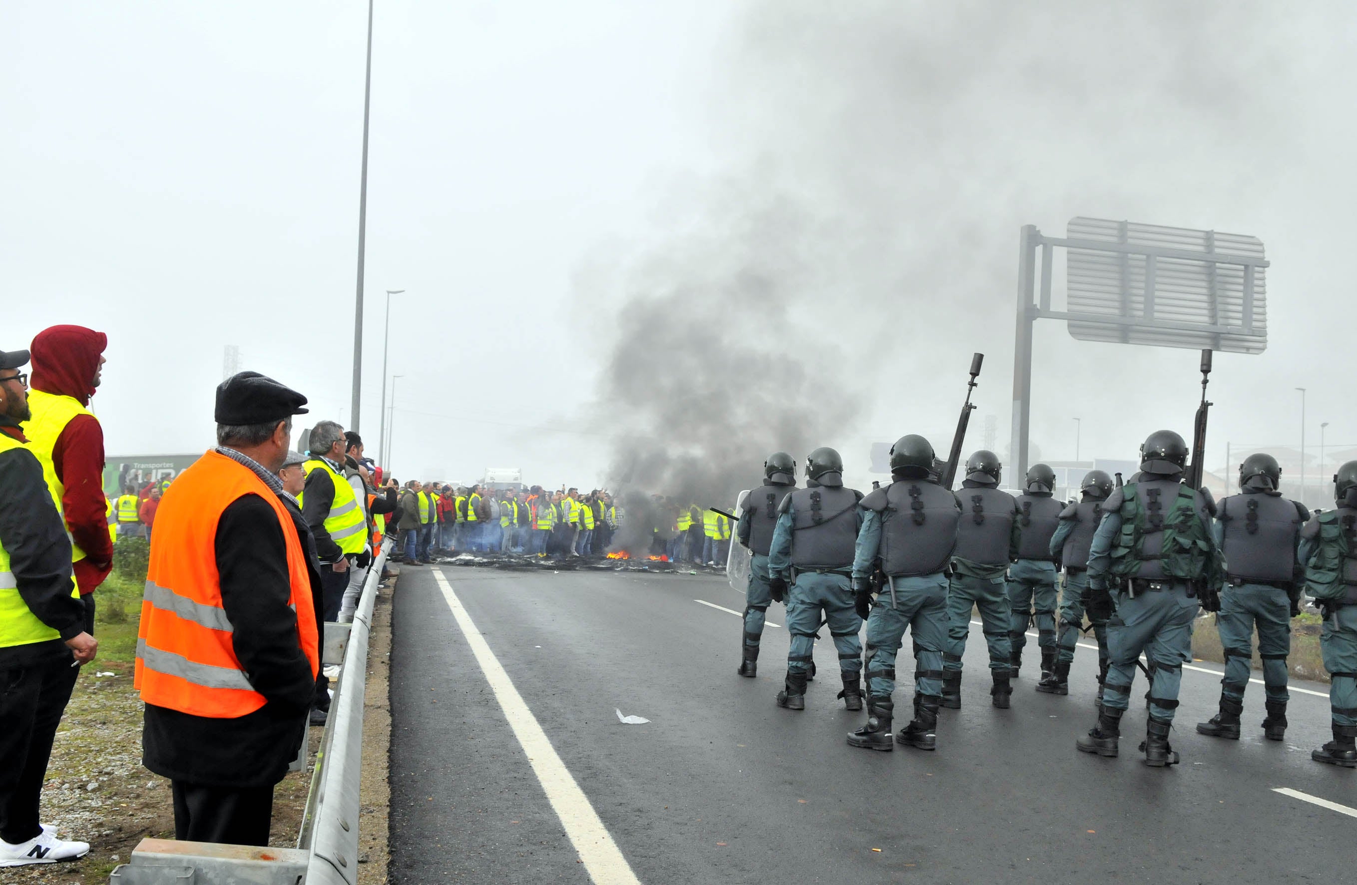 Miles de trabajadores del sector del olivar se han manifestado en toda la provincia de Jaén