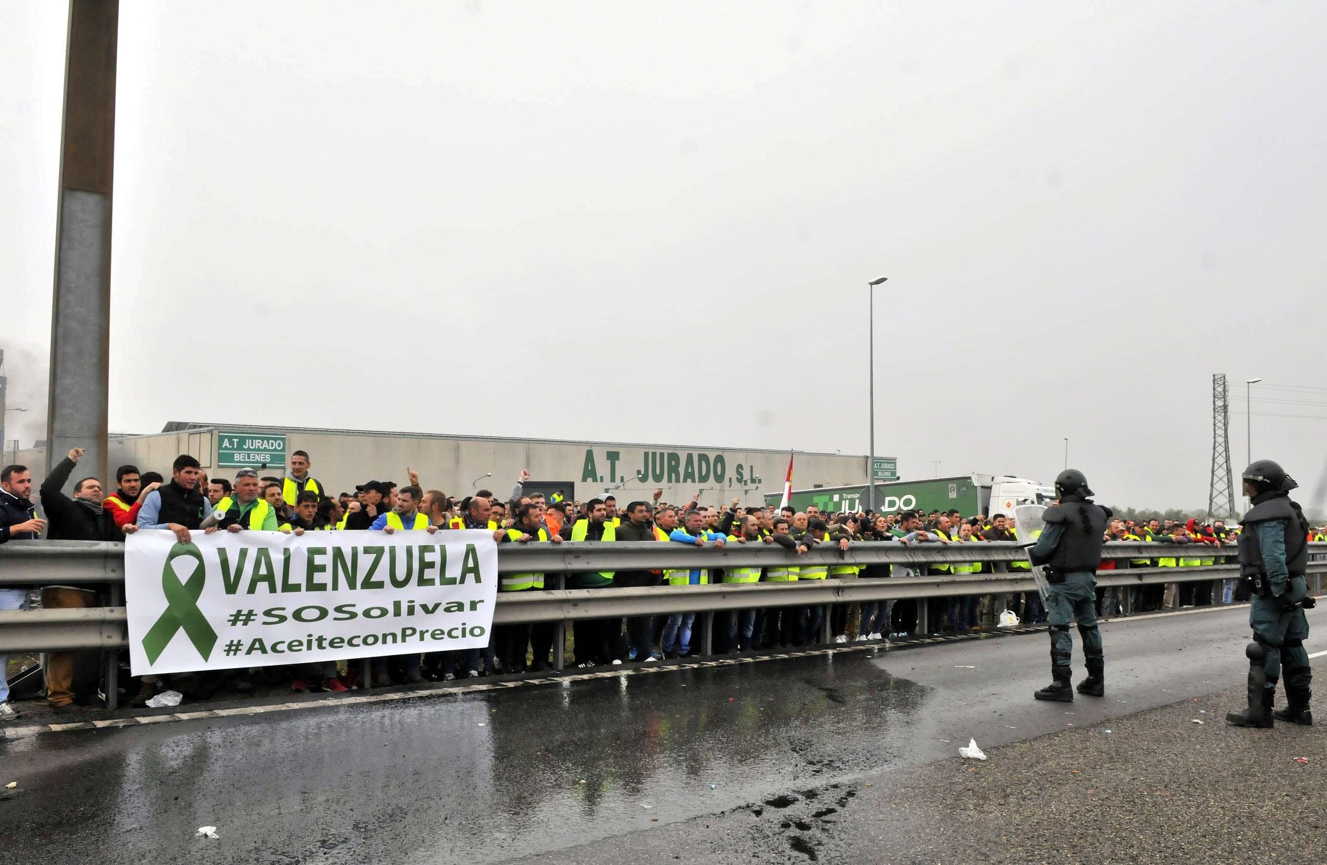 Miles de trabajadores del sector del olivar se han manifestado en toda la provincia de Jaén