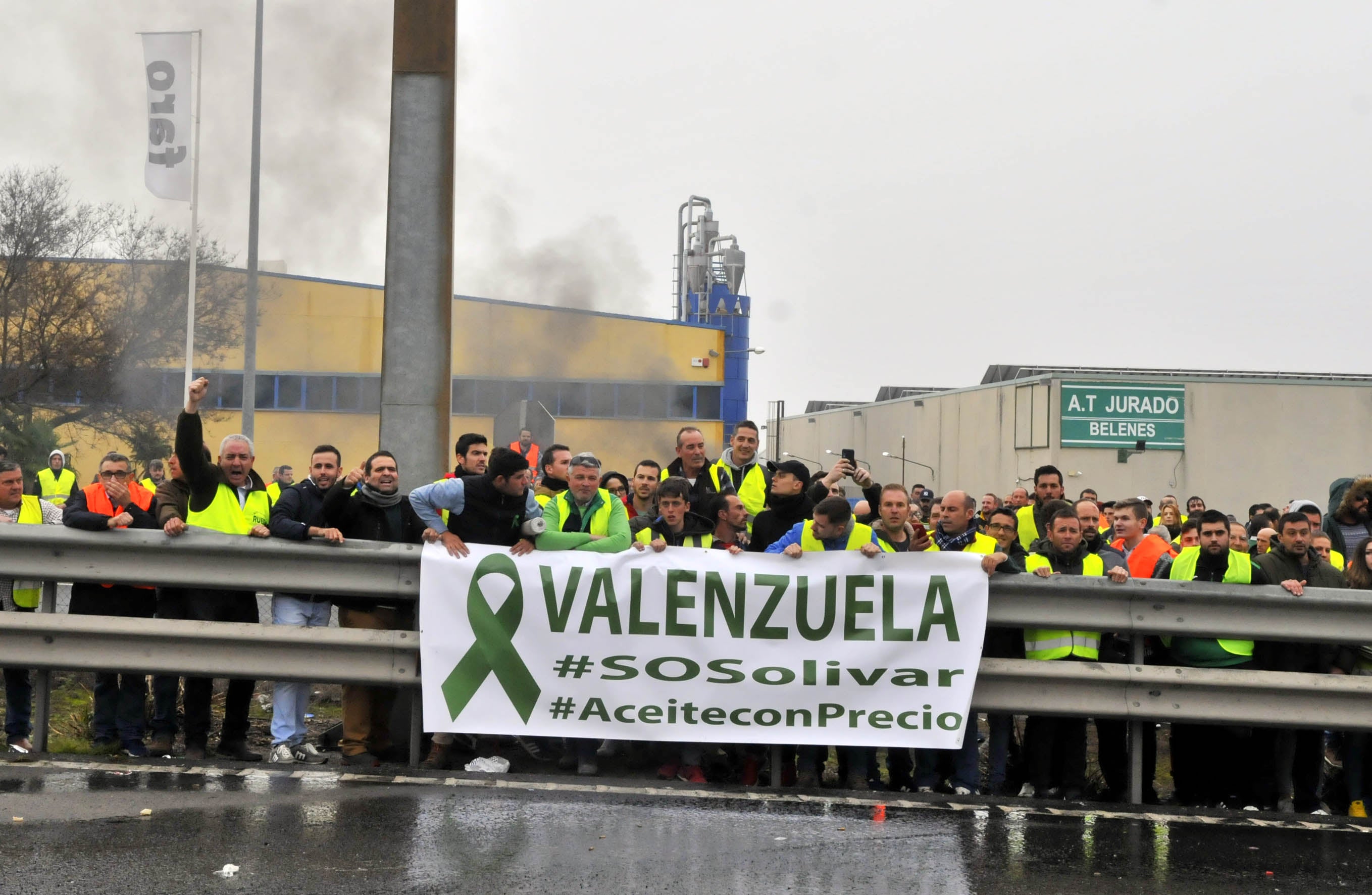 Miles de trabajadores del sector del olivar se han manifestado en toda la provincia de Jaén