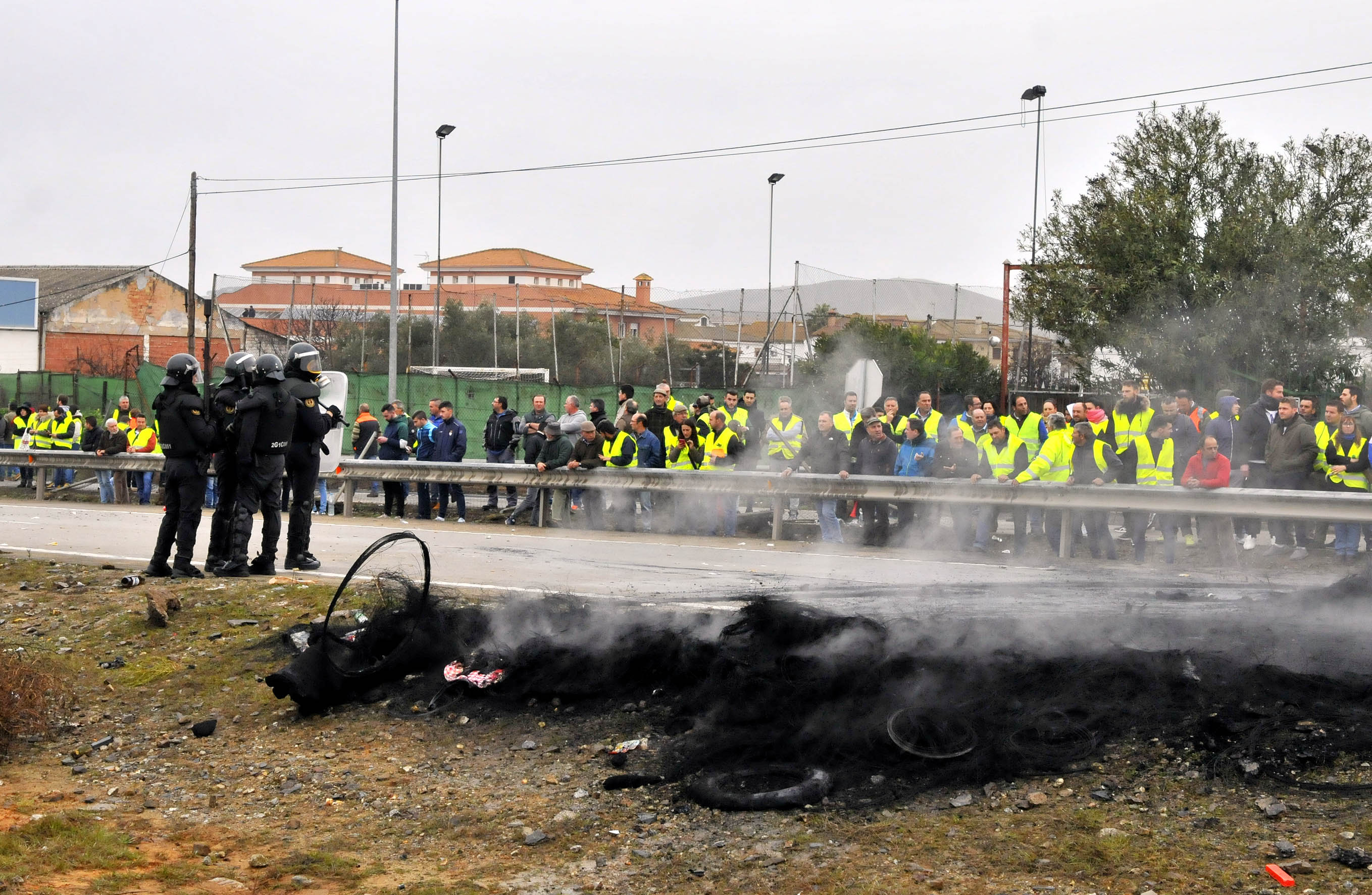 Miles de trabajadores del sector del olivar se han manifestado en toda la provincia de Jaén