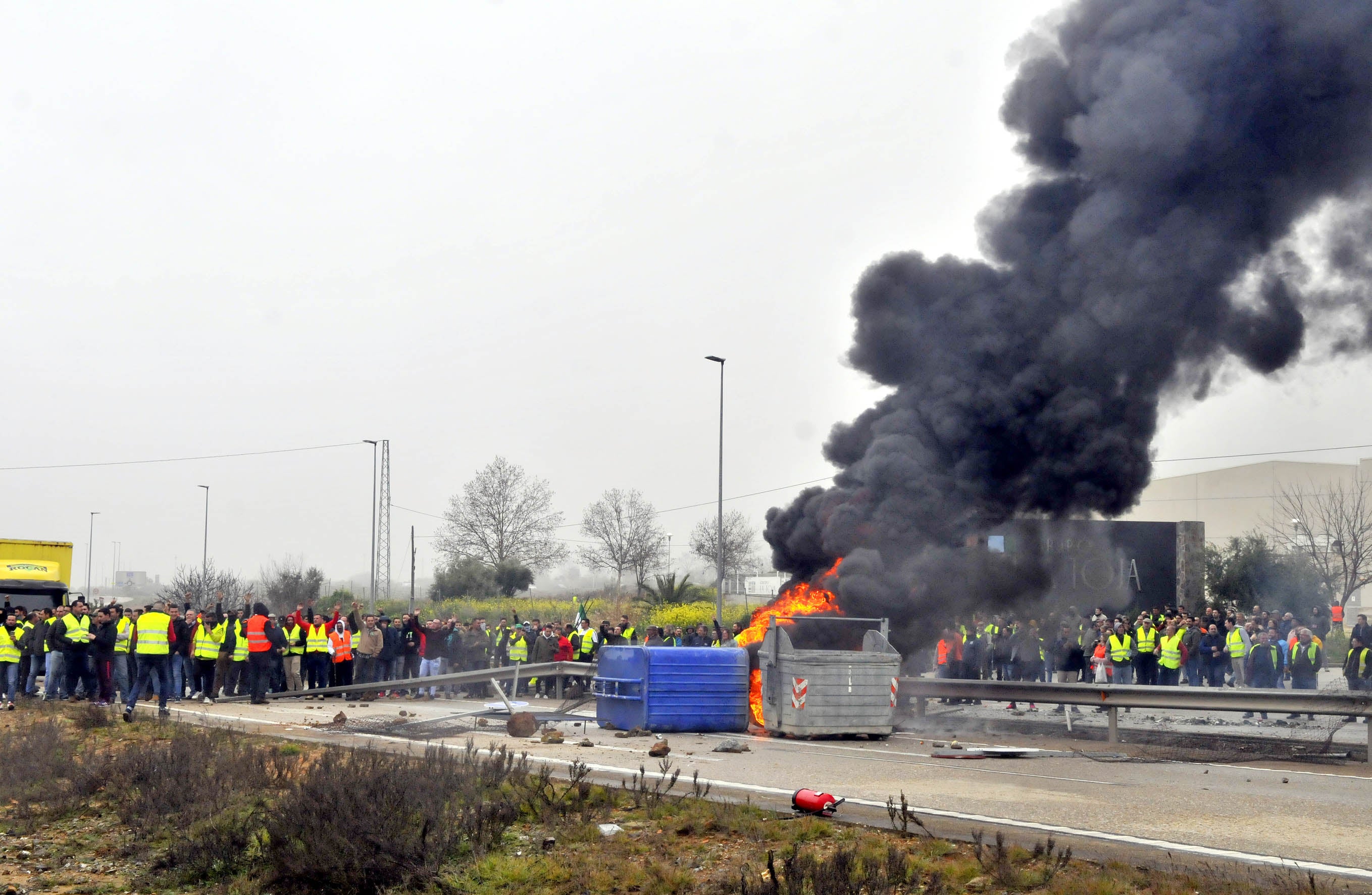 Miles de trabajadores del sector del olivar se han manifestado en toda la provincia de Jaén