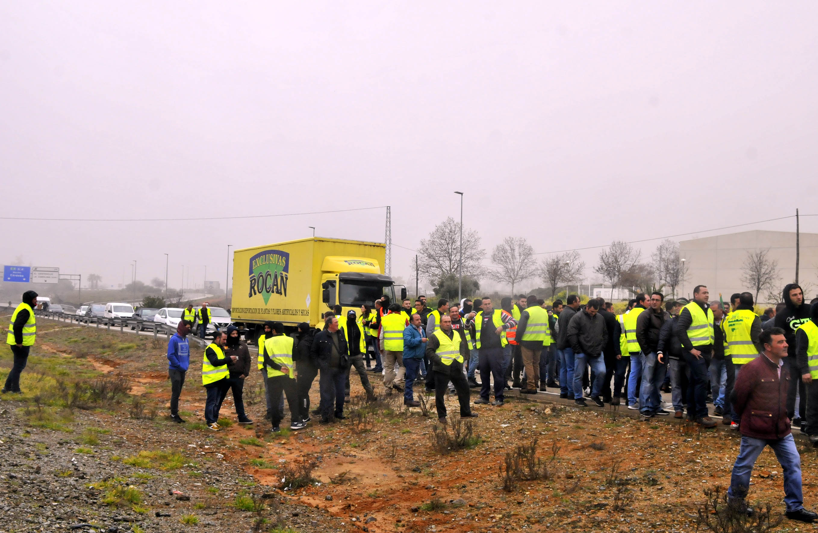Miles de trabajadores del sector del olivar se han manifestado en toda la provincia de Jaén