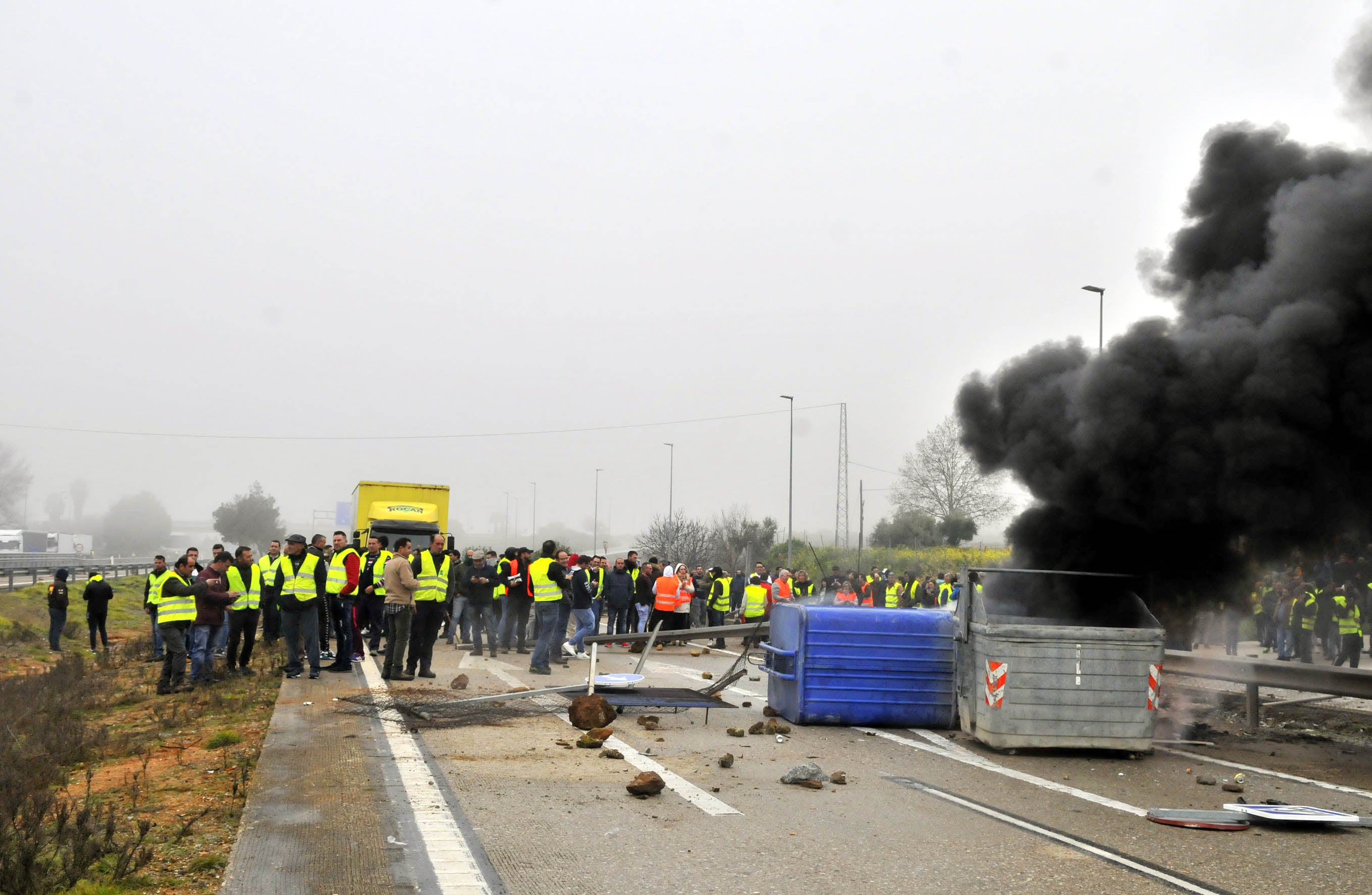 Miles de trabajadores del sector del olivar se han manifestado en toda la provincia de Jaén
