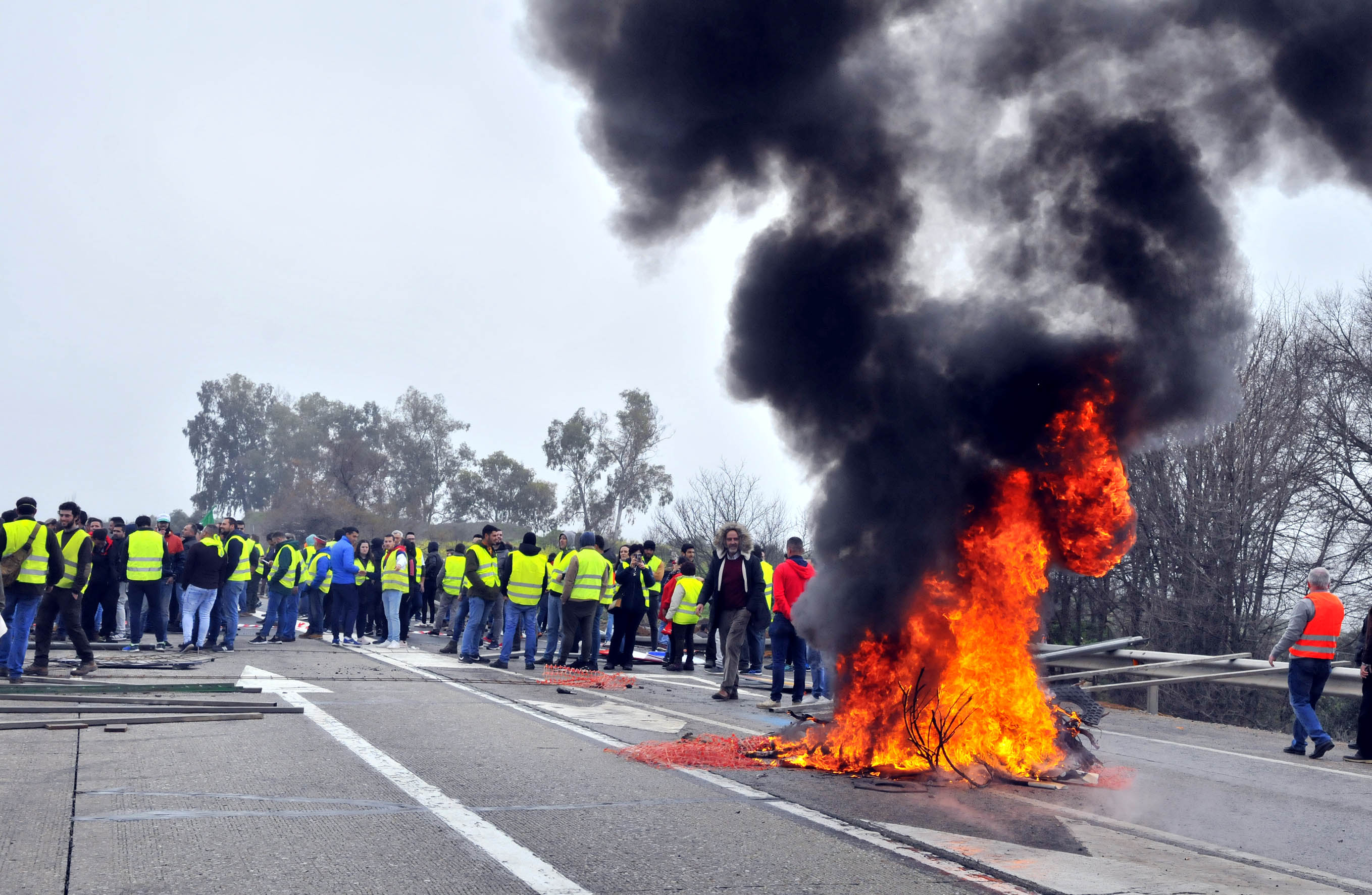 Miles de trabajadores del sector del olivar se han manifestado en toda la provincia de Jaén