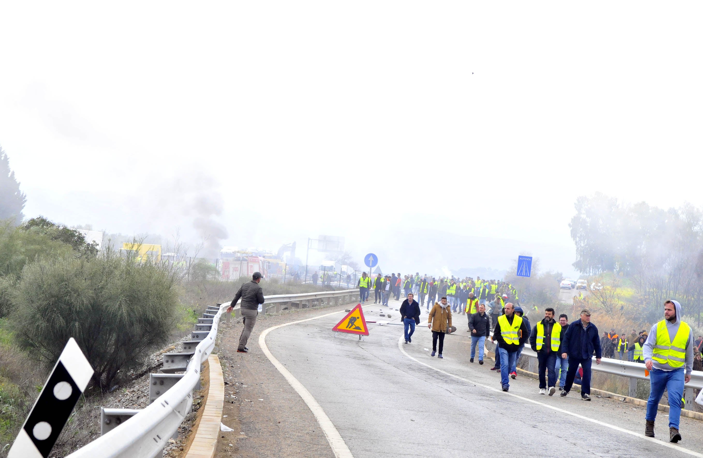 Miles de trabajadores del sector del olivar se han manifestado en toda la provincia de Jaén