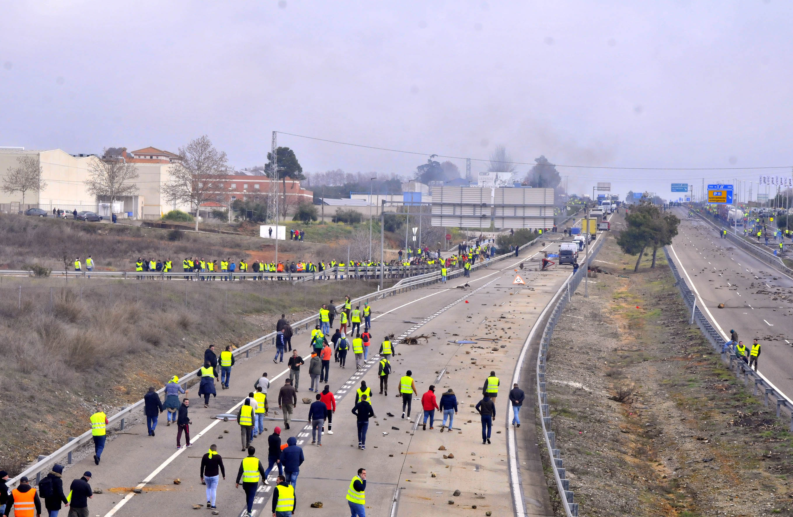 Miles de trabajadores del sector del olivar se han manifestado en toda la provincia de Jaén