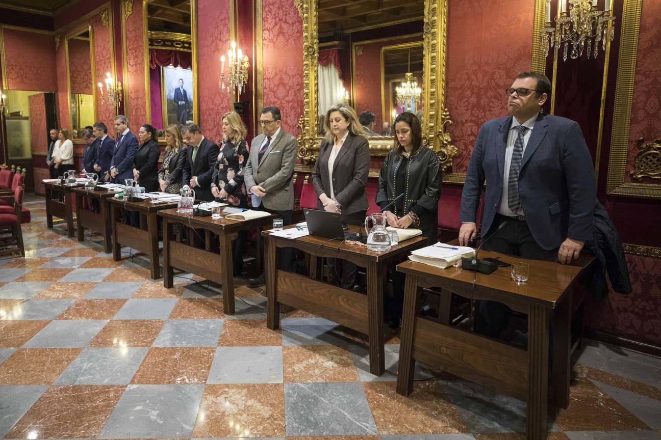 El mandatario popular ha anunciado su salida de la dirección del partido a nivel provincial en el pleno ordinario del Ayuntamiento de Granada 