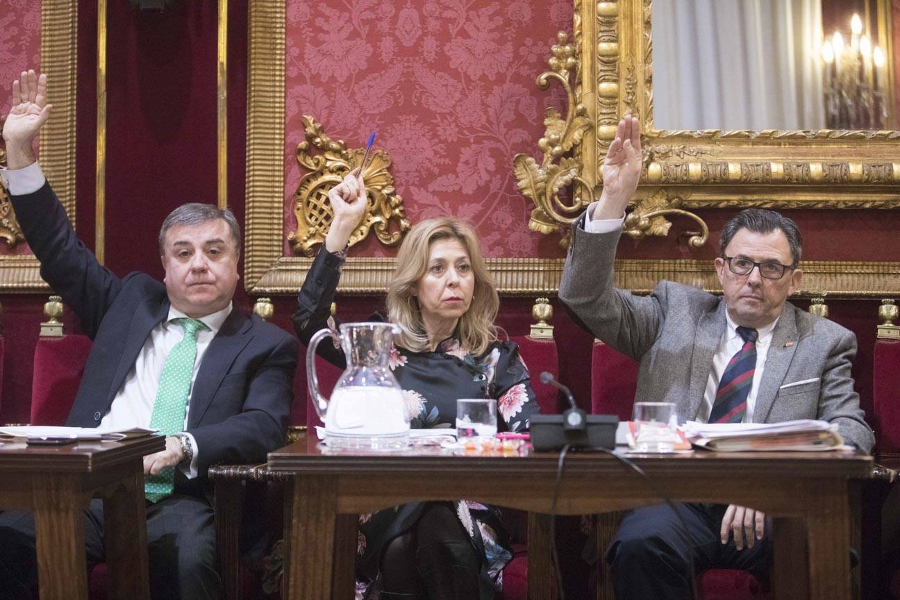 El mandatario popular ha anunciado su salida de la dirección del partido a nivel provincial en el pleno ordinario del Ayuntamiento de Granada 