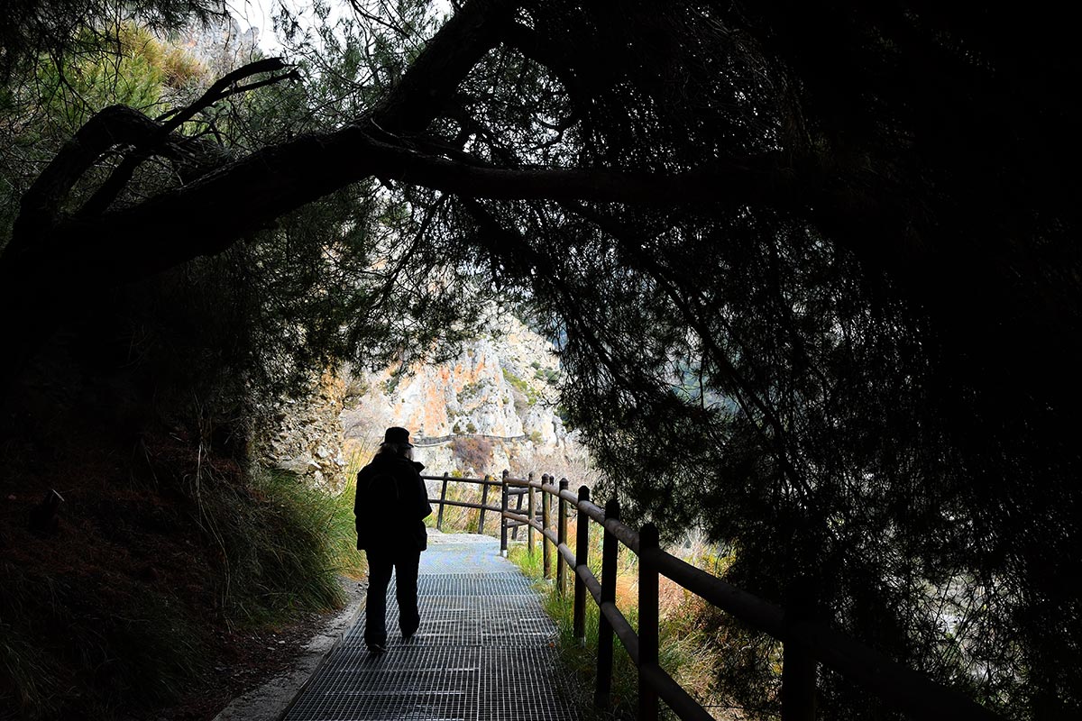 Sendero de la acequia de La Pavilla 