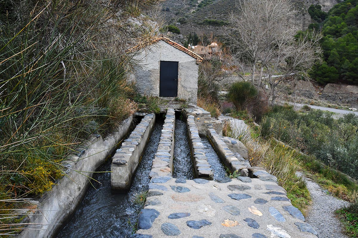 Sendero de la acequia de La Pavilla 