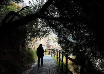 Imagen secundaria 1 - Rutas senderistas Granada: la senda de la Pavilla
