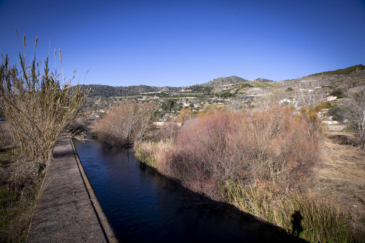 La Junta ha destinado 270.000 euros a retirar esta especie invasora para evitar inundaciones y hacer un gran corredor verde hasta Rules 