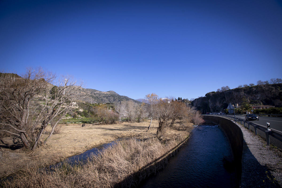 La Junta ha destinado 270.000 euros a retirar esta especie invasora para evitar inundaciones y hacer un gran corredor verde hasta Rules 