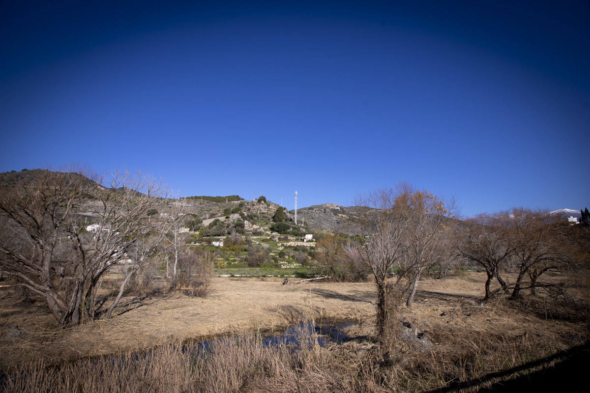 La Junta ha destinado 270.000 euros a retirar esta especie invasora para evitar inundaciones y hacer un gran corredor verde hasta Rules 