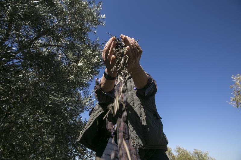 Los trabajadores del campo granadinos reclaman soluciones ante la crisis del sector