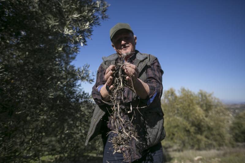 Los trabajadores del campo granadinos reclaman soluciones ante la crisis del sector