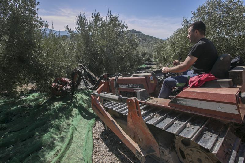 Los trabajadores del campo granadinos reclaman soluciones ante la crisis del sector