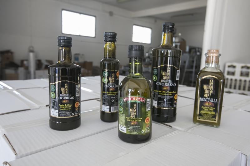 Los trabajadores del campo granadinos reclaman soluciones ante la crisis del sector