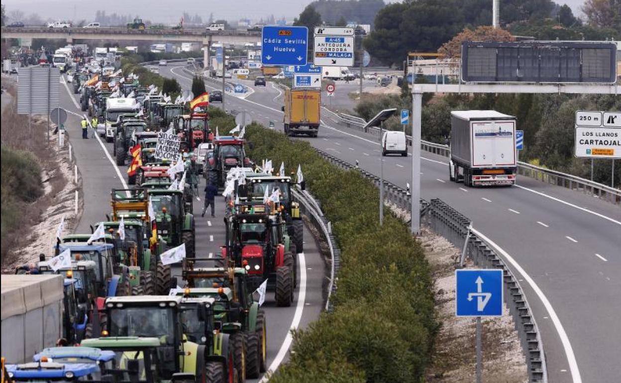 Agricultores montados en sus tractores esperan a la entrada de los Llanos en Antequera (Málaga), para iniciar la marcha. 