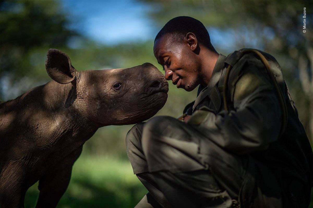 'The surrogate mother'. Fotografía galardonada con una mención de honor