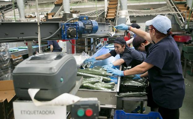 Trabajadoras del Grupo La Caña en la Costa granadina. 