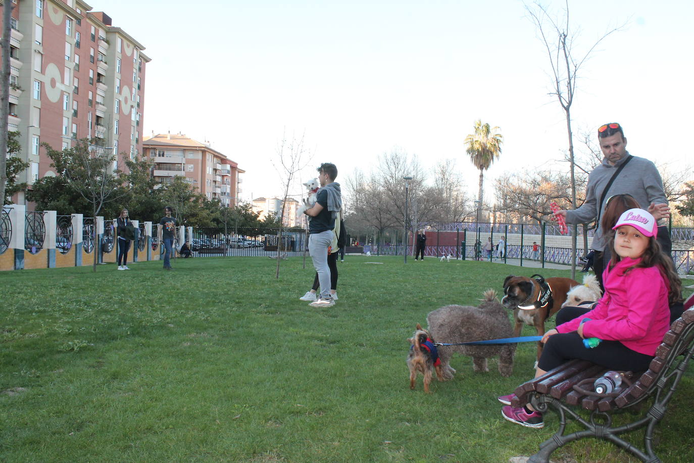 El Ayuntamiento resalta la apuesta por estas instalaciones para mascotas y anuncia que estudia abrir otro similar en Las Fuentezuelas