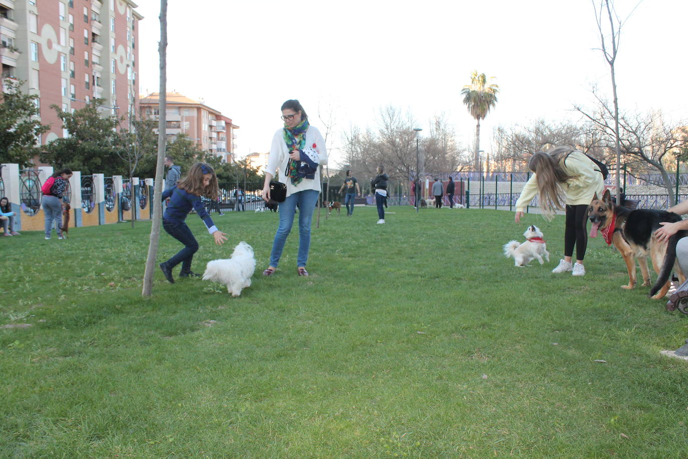 El Ayuntamiento resalta la apuesta por estas instalaciones para mascotas y anuncia que estudia abrir otro similar en Las Fuentezuelas