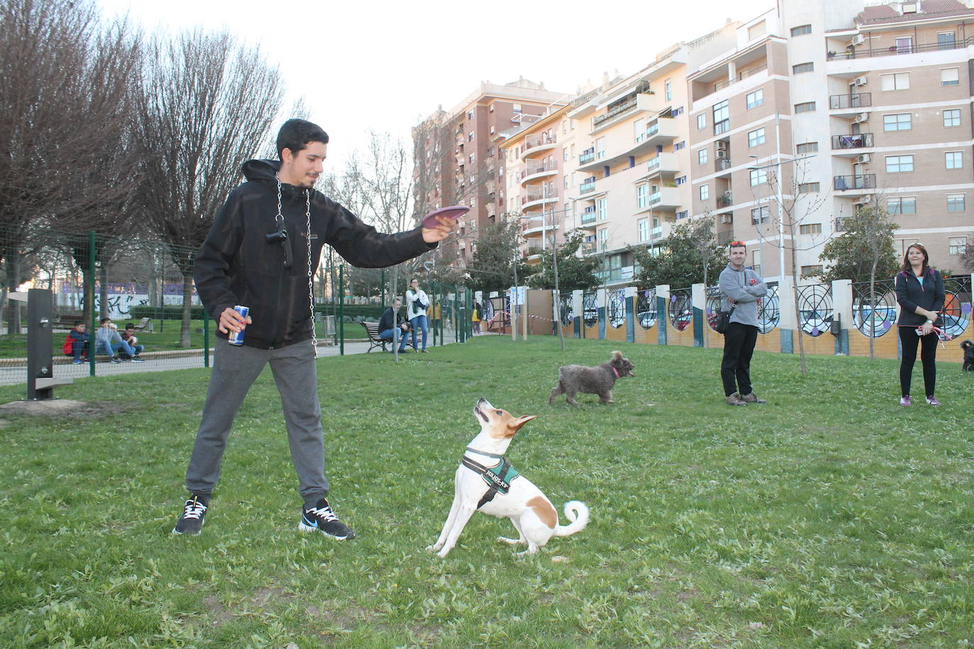 El Ayuntamiento resalta la apuesta por estas instalaciones para mascotas y anuncia que estudia abrir otro similar en Las Fuentezuelas