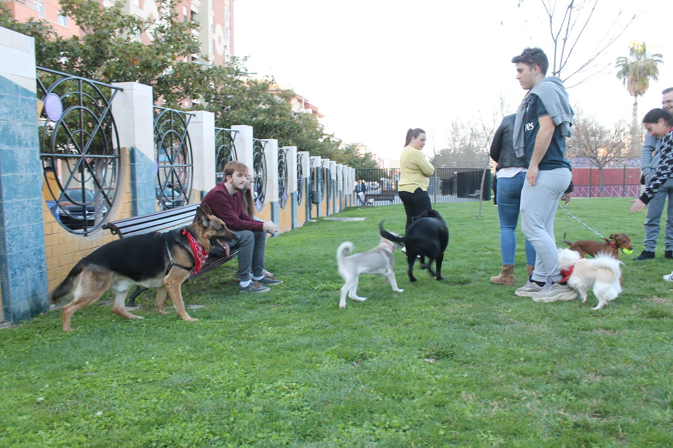 El Ayuntamiento resalta la apuesta por estas instalaciones para mascotas y anuncia que estudia abrir otro similar en Las Fuentezuelas