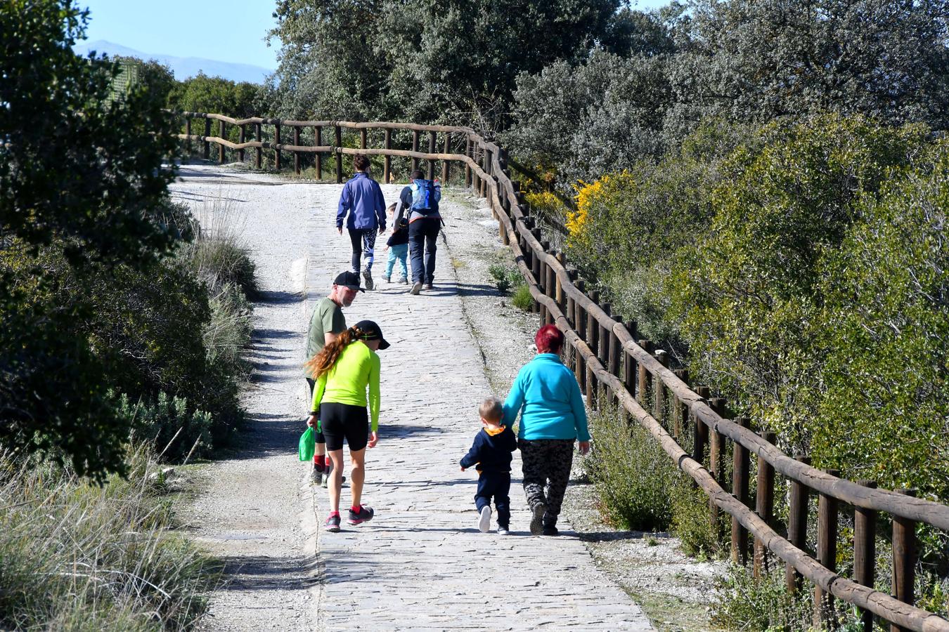 Ruta hacia el Torreón de Albolote, en Sierra Elvira 