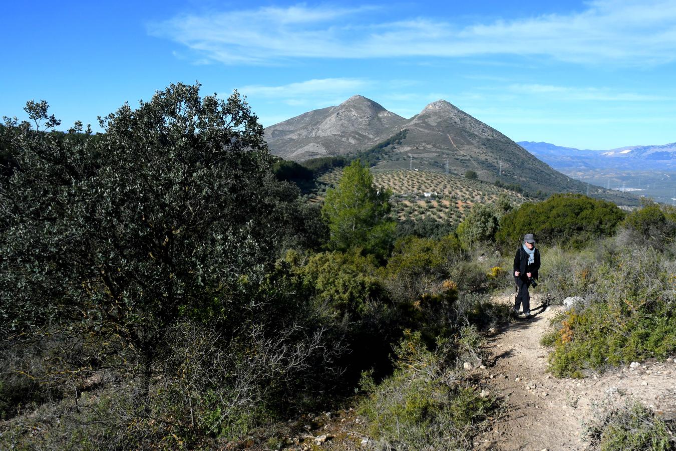 Ruta hacia el Torreón de Albolote, en Sierra Elvira 