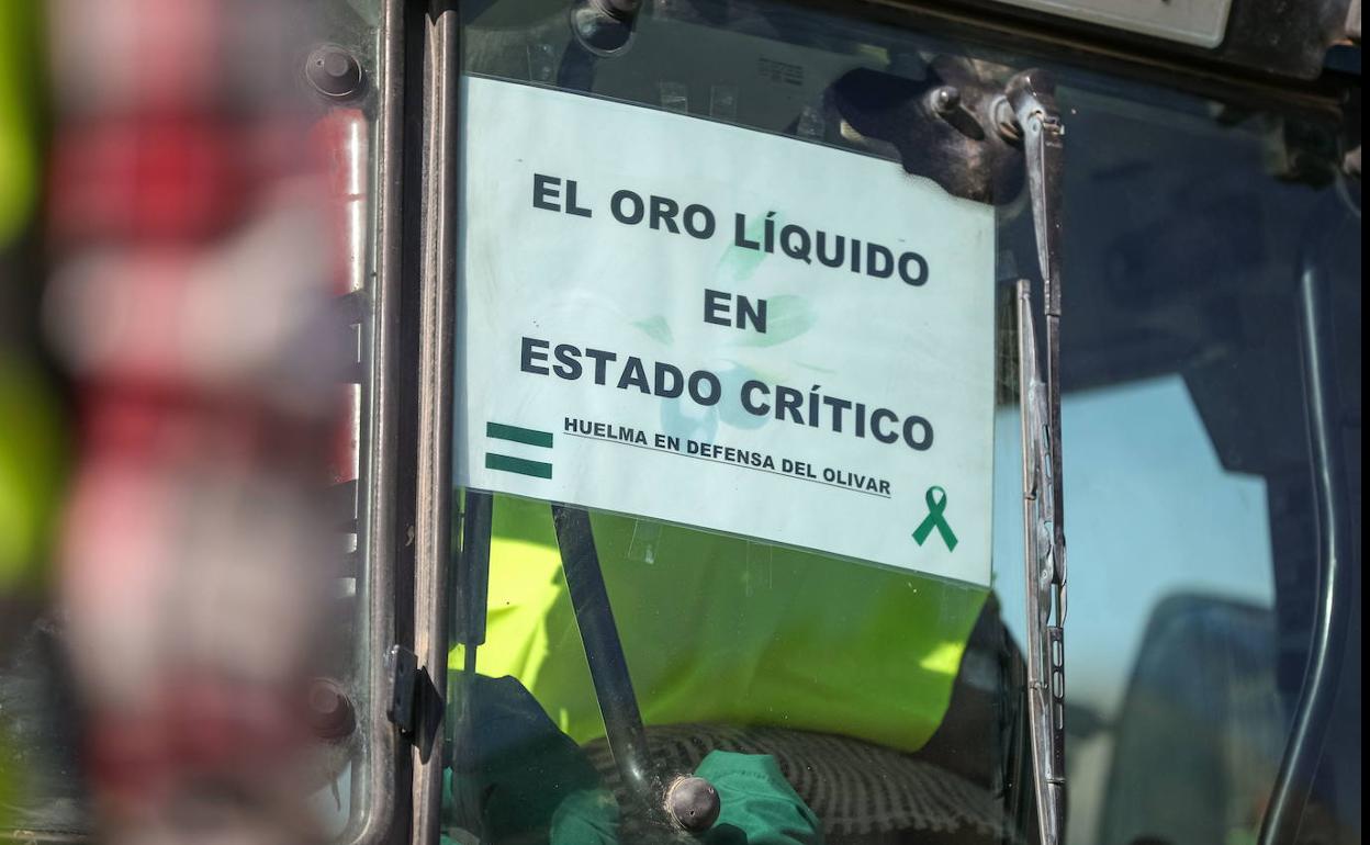 Detalle de un cartel reivindicativo de la protesta del olivar en Jaén. 
